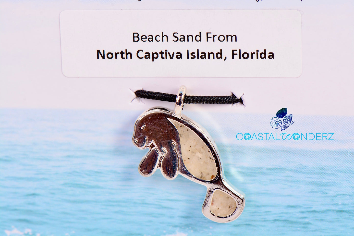 Beach Charm-Manatee