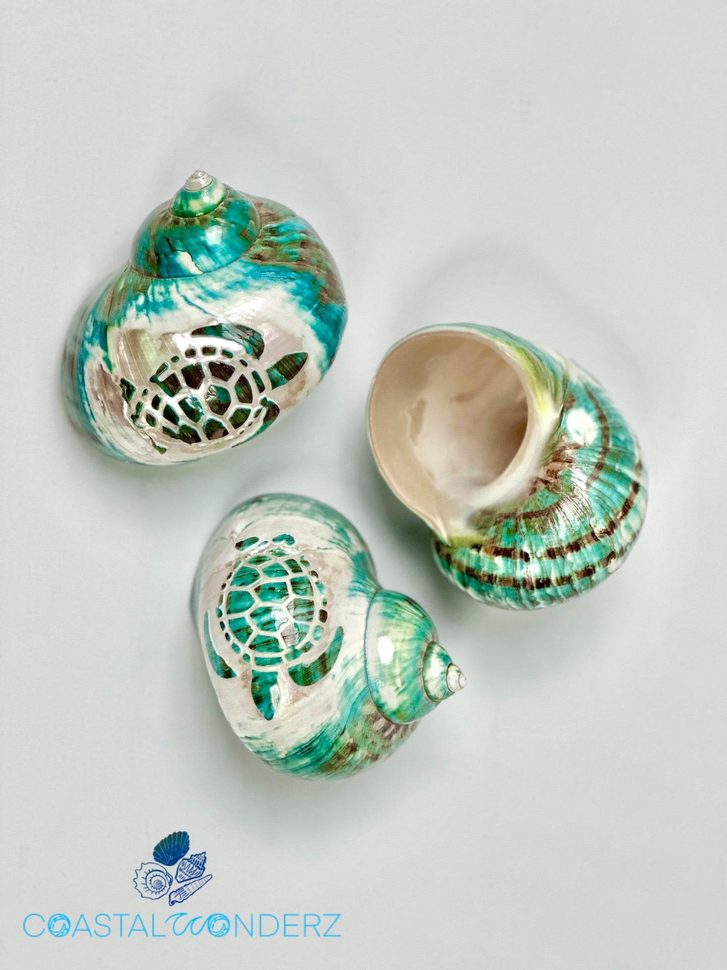 Turbo Jade with Carved Sea Turtle Shell