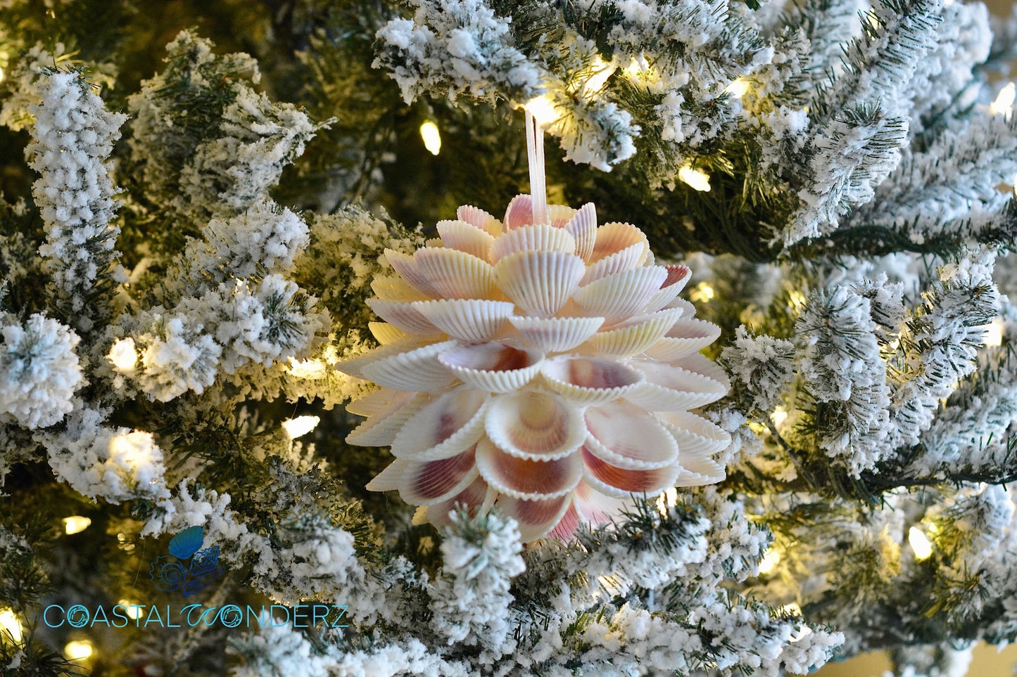 Cockle Shell Ball Ornament 3" or 4"