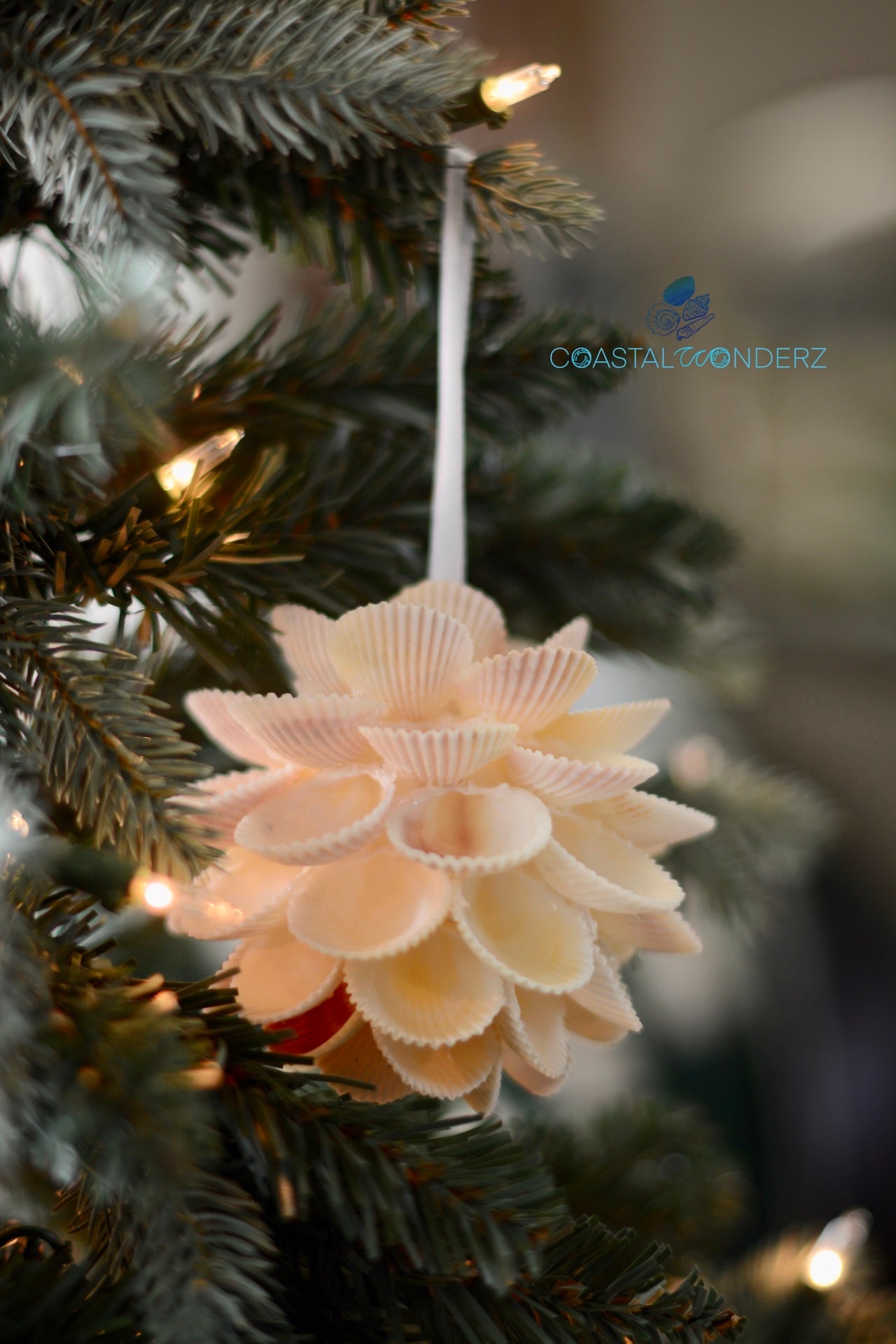 Cockle Shell Ball Ornament 3" or 4"