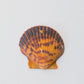 Orange Scallop or Calico Pecten Shell (Argopecten Gibbus)