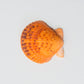 Orange Scallop or Calico Pecten Shell (Argopecten Gibbus)