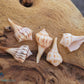 Lightning Whelk Shell (Sinistrofulgur Sinistrum)