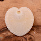 Heart Shaped Cockle Seashell Pairs (Cardium Cardissa)